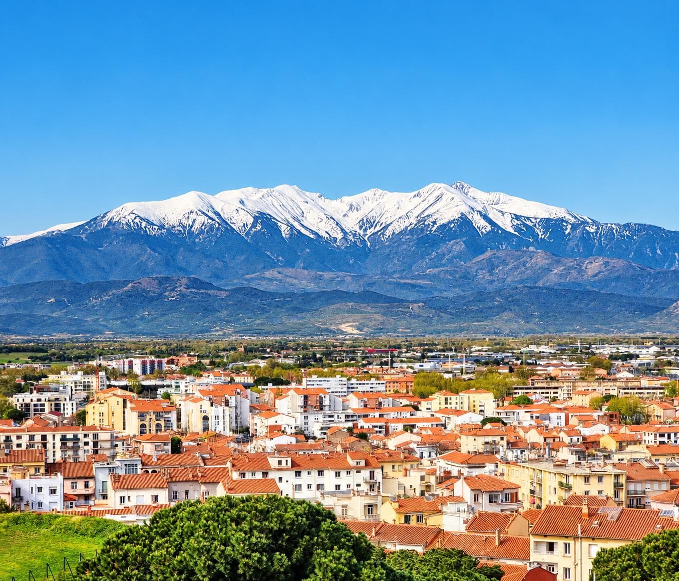 Le Canigou enneigé au-dessus des toits de Perpignan